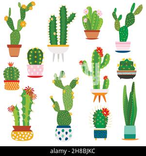 Cactus pots. Home plants cacti flowers in ceramic pot succulent plant, cactuses with prickles flora garden Stock Vector