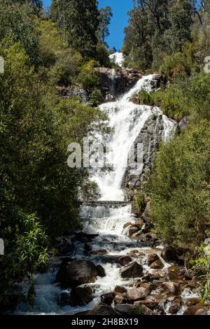 Steavenson Falls, Marysville, Victoria, Australia Stock Photo