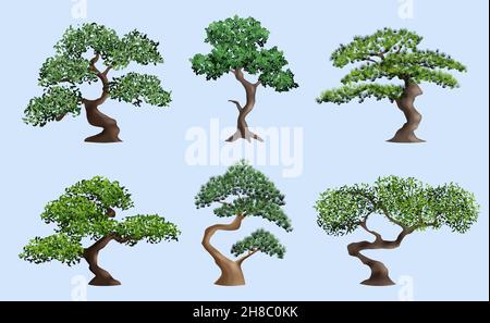 Bonsai tree. Decorative japanese authentic plants botanical elderly trees in pots decent vector realistic illustrations set isolated Stock Vector