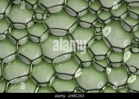 Light green oil or serum background with bubbles. Top view Stock Photo