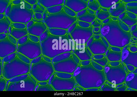 Blue and neon green oil or serum background with bubbles. Top view Stock Photo