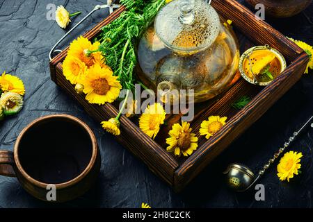 Healing flower tea. Teapot with chrysanthemum flower tea. Herbal medicine,brewing tea Stock Photo