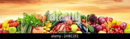 Useful fruits and vegetables divided vertical lines against background sunset. Copy space Stock Photo