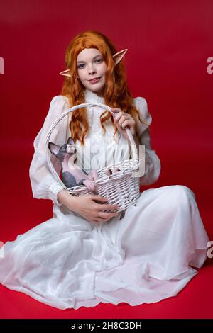 Elf cosplay young woman with long red hair sits on red background with white wicker basket on her lap. There is funny Sphinx kitten in basket Stock Photo