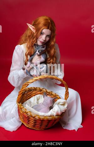Cosplay elf young woman in white dress, with red wavy long hair sits on red background and presses Sphinx kitten to her chest. In basket at her feet Stock Photo