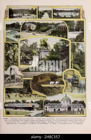 PARKS. (1) Bethesda Fountain, Central Park. (2) Boat Pond, Central Park. (3) Dutch Gardens, Van Cortlandt Park; 1,132 acres. (4) MacMonnies' Wild Horses, Prospect Park, Brooklyn; 516 acres. (5) Lily Pond, Botanical Gardens, Bronx; 250 acres. (6) Falls, Bronx River. (7) Banana Palms, Botanical Gardens. (8) Ferns, Conservatory Dome. (9) Zoological Park, Bronx, 261 acres. (10) Giraffes. (11) Wapiti (12) Lion House. (13) Bears. (14) Elephant House. (15) Elephant. from the book ' King's color-graphs of New York city ' Published in New York by M. King, inc. in 1910 Stock Photo