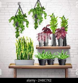 House plants realistic white brick wall interior with hanging ivy pots succulents on side table vector illustration Stock Vector