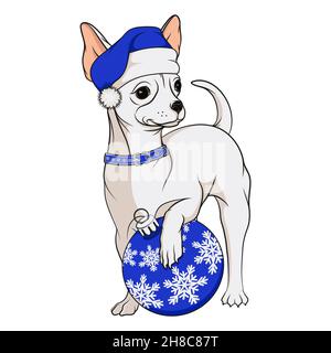 Color image of a small dog, a white chihuahua in a blue Christmas hat with a Christmas tree toy. Isolated vector object on a white background. Stock Vector