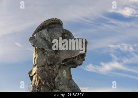 Head of the statue located on the harbour quay of Bamse, the St Bernard dog who went to sea on the Norwegian minesweeper Thorodd during world war 2 Stock Photo