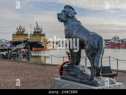 Bronze statue located on the harbour quay of Bamse, the brave St Bernard dog who went to sea on the Norwegian minesweeper Thorodd during world war 2 Stock Photo