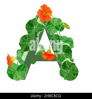 Watercolor letter A made from flowers. Botany alphabet in bloom. Isolated letters on white background. Hand drawn Nasturtium. Modern design type Stock Photo