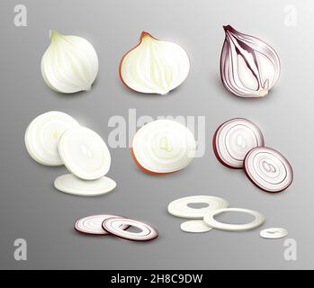 Realistic fresh onion collection with whole vegetables slices and rings of different types isolated vector illustration Stock Vector