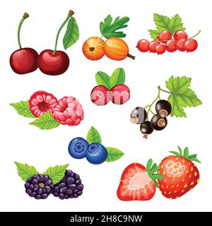 Colorful cartoon berries icons collection with cherry gooseberry strawberry cowberry cranberry bilberry blackberry currant raspberry isolated vector i Stock Vector