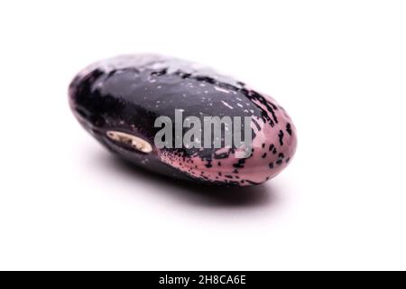 A bean isolated on white background Stock Photo