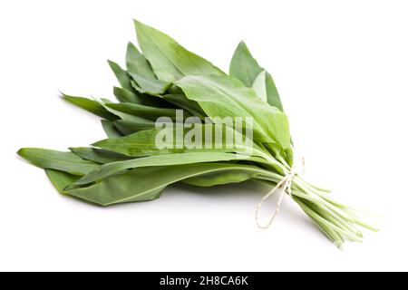 A bunch of fresh wild garlic isolated on white background Stock Photo