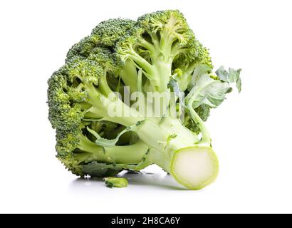 A single green broccoli isolated on white background Stock Photo