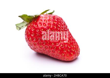 A single strawberry isolated on a white background with copy space ...