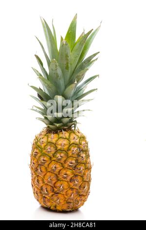 Full fruiting bodies of pineapple on white background Stock Photo