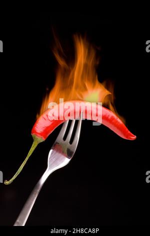 Hot chilli - Chilli pepper on fork in flames Stock Photo