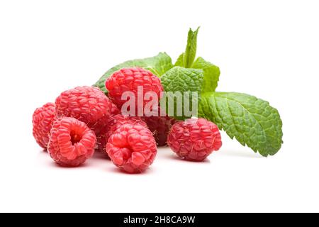 Several raspberries with fresh mint Stock Photo