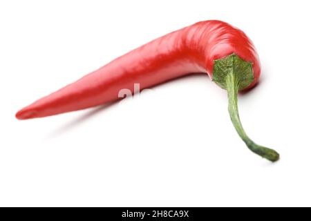 Single long red chili pepper standing upright inside bright yellow ...