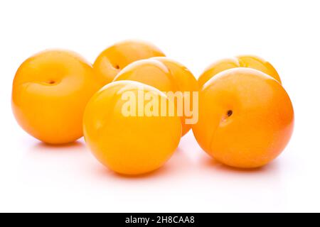 Six orange plums loosely arranged on white Stock Photo