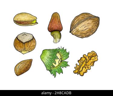 Set of nuts pistachios hazelnut walnut almonds, hand-drawn pencil drawing contour sketch. Isolated, white background. Vector illustration Stock Vector
