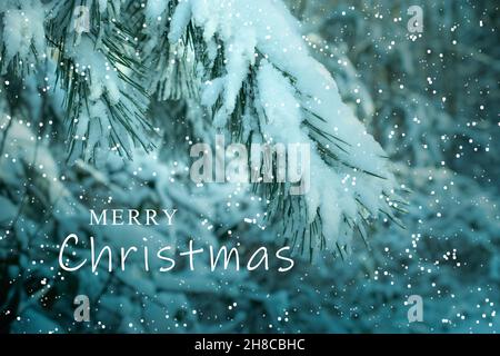 Christmas snow branch celebration card. Stock Photo