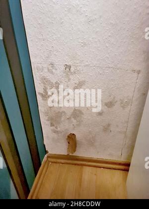 damp wall in a chamber, insured loss Stock Photo