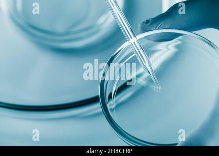 abstract laboratory medical background. petri dishes, test tubes. Stock Photo