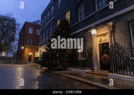 The annual festive Christmas tree leans against the facade to No.10 Downing Street during the run up to Christmas in December 2021, London, England UK