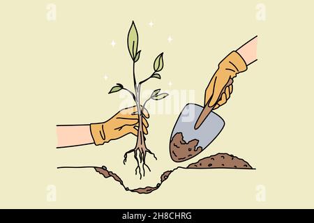 People with shovel plant small tree with roots in ground. Gardener with seedling in hands take care of environment. Gardening and agriculture concept. Environmental change. Vector illustration.  Stock Vector