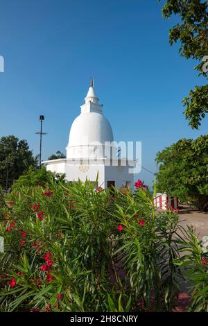 Sri Lanka, province du centre, Centrale Province, Badulla district, Bandarawela, pèlerinage, Pilgerfahrt, pilgrimage Mont Vedasiti, Berg Vedasiti, mou Stock Photo