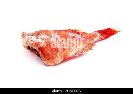 Frozen headless red snapper covered with ice. Frozen redfish isolated on white background. Stock Photo