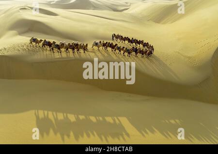 Ordos, China's Inner Mongolia Autonomous Region. 29th Nov, 2021. Aerial photo shows a herd of camels in Kubuqi Desert, north China's Inner Mongolia Autonomous Region, Nov. 29, 2021. Credit: Wang Zheng/Xinhua/Alamy Live News Stock Photo