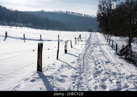 Biking way R1 in winter, near Gewissenruh, Wesertal, Weser Uplands, Weserbergland, Hesse, Germany Stock Photo