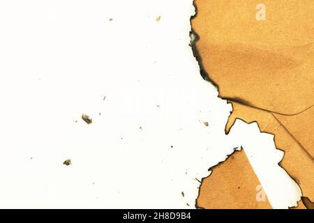 Burnt peice of old paper on a white background. Vintage and retro design photo Stock Photo