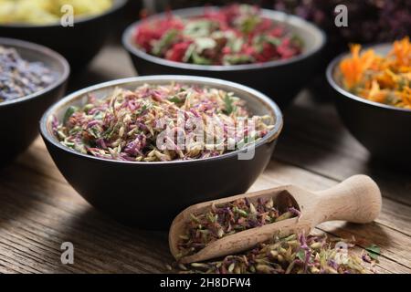 Bowl of dried red clover and bowls of dry medicinal herbs on background. Healing herbs assortment. Alternative herbal medicine. Stock Photo
