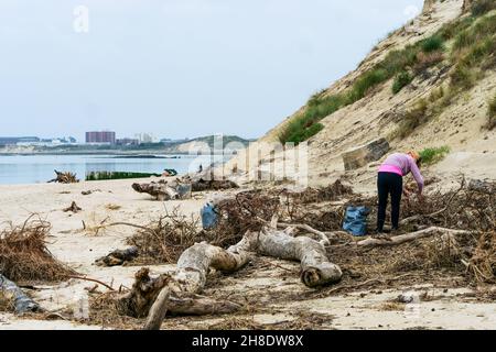An environmental activist collects plastic waste, Authie Bay, Berck sur Mer, Pas de Calais, Picardie, North-Western France Stock Photo