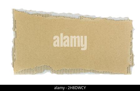 Torn pieces recycled cardboard isolated on white background. Banner. Copy space Stock Photo