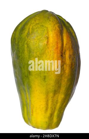intact whole papaya standing isolated on white background Stock Photo