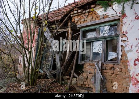 The ruins of an old house in the countryside and from it grow bushes and bushes on an autumn day Stock Photo