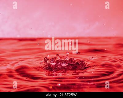 A red drop drips into the water and creates splashes of different shapes, due to the splashes waves are created on the water, the concept of a liquid Stock Photo