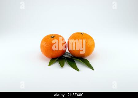 Two fresh tangerines on green leaves and white background Stock Photo