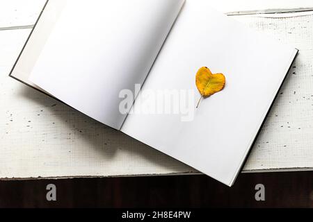 Yellow heart shaped leaf on open book on a white wooden board Stock Photo