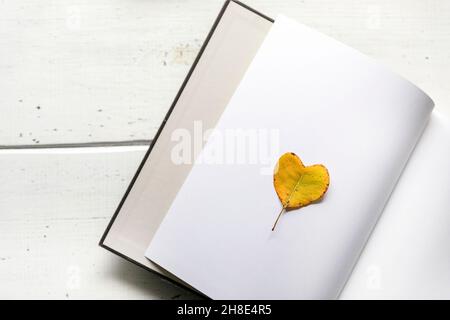 Yellow heart shaped leaf on open book on a white wooden board Stock Photo