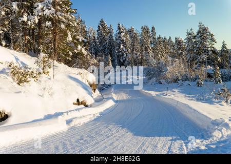 Snowy road in the woods. Sunshine in winter wonderland. Stock Photo