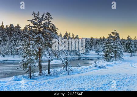 Winter sunset by the frozen river with forest covered snow and sun reflection on water. No people. Norway, Europe. Stock Photo