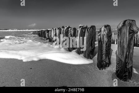 Friesland Stock Photo