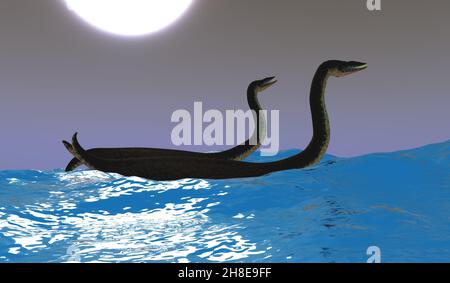 Two Plesiosaurus carnivorous reptiles have fun riding ocean waves on a moonlit night. Stock Photo